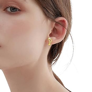 Amazon.co.jp: 片頭痛イヤリング ハートイヤリング女の子用
